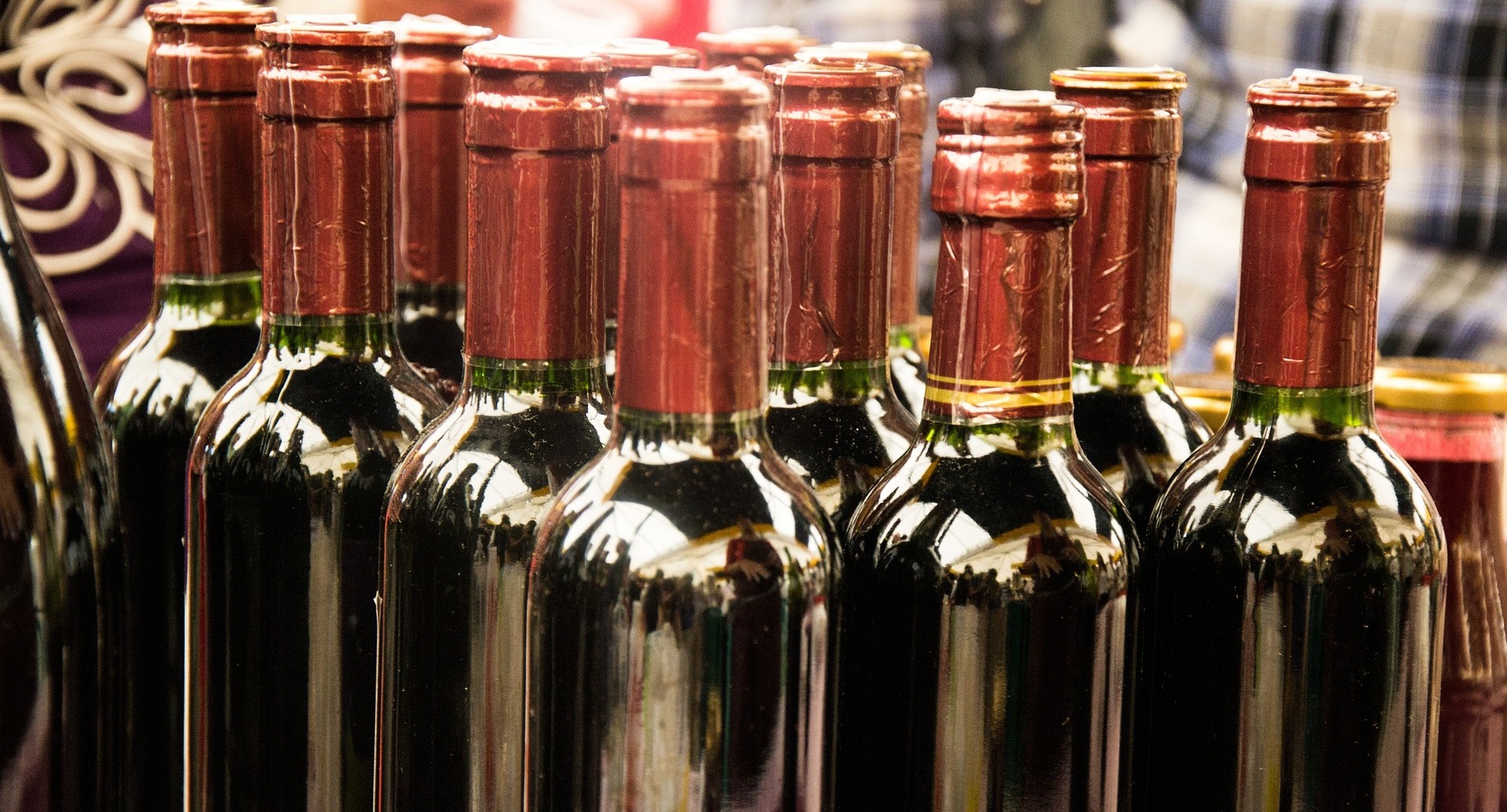 Newsletter n.&ordm; 71 - Foto 4